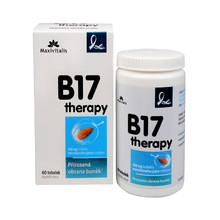 B17 therapy